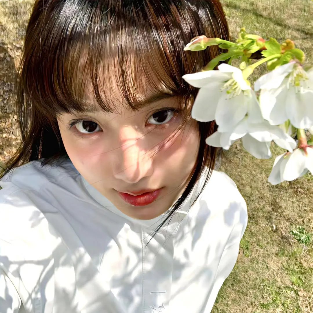 平凡职业造就世界最强第三季